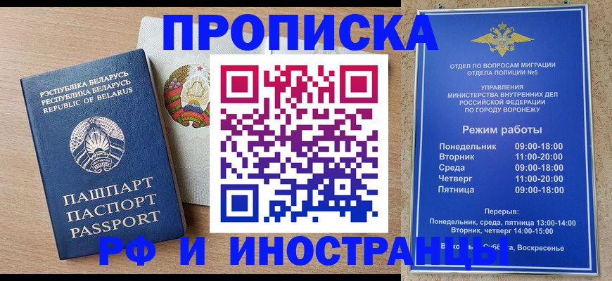 пропишу в квартире в Белой Холунице
